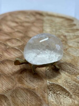 Grande tortue Cristal de roche