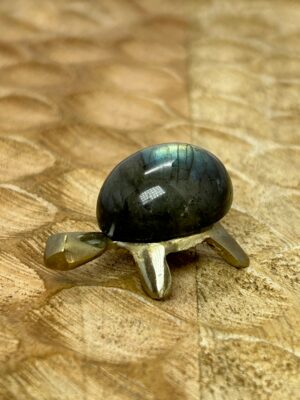Petite tortue Labradorite