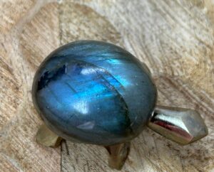 Petite tortue Labradorite