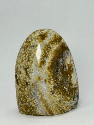 Forme libre Jaspe Orbiculaire